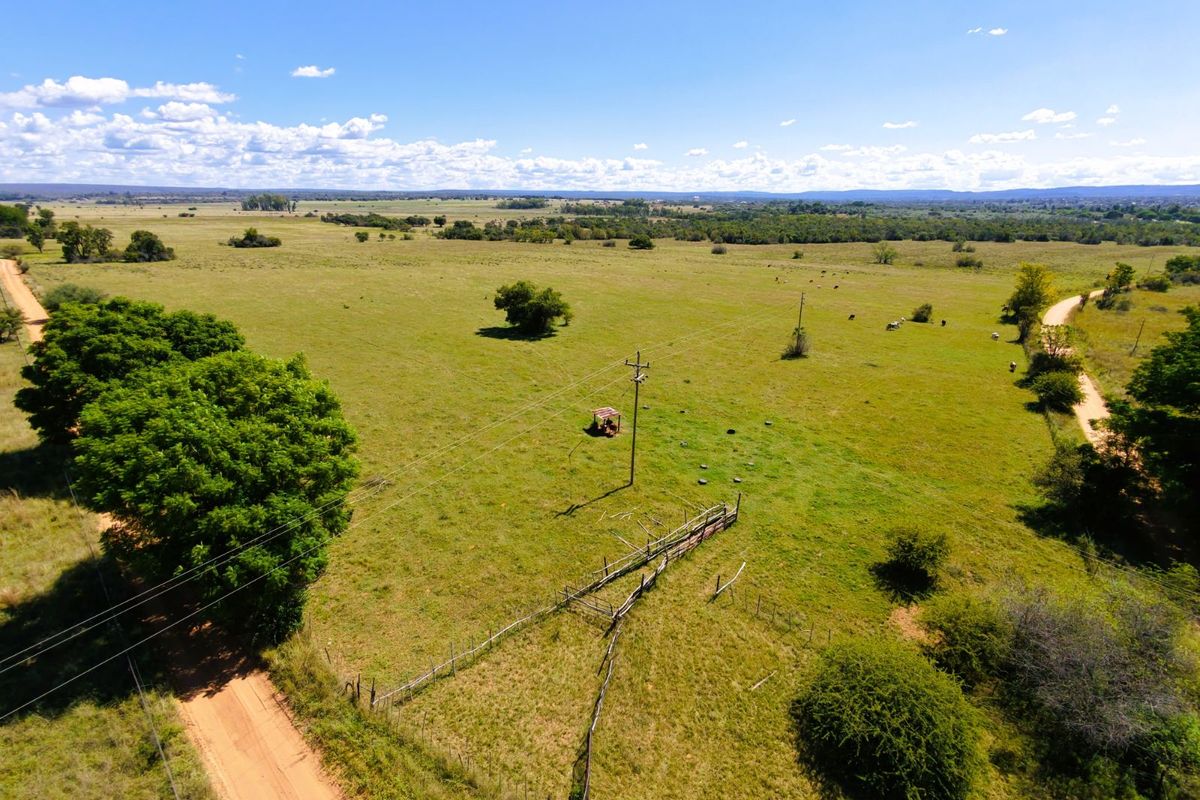 Farm For Sale in Modimolle Rural - Photo 3