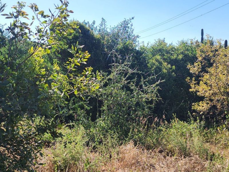 Vacant Land Residential For Sale in Vaal Marina Central - Photo 3