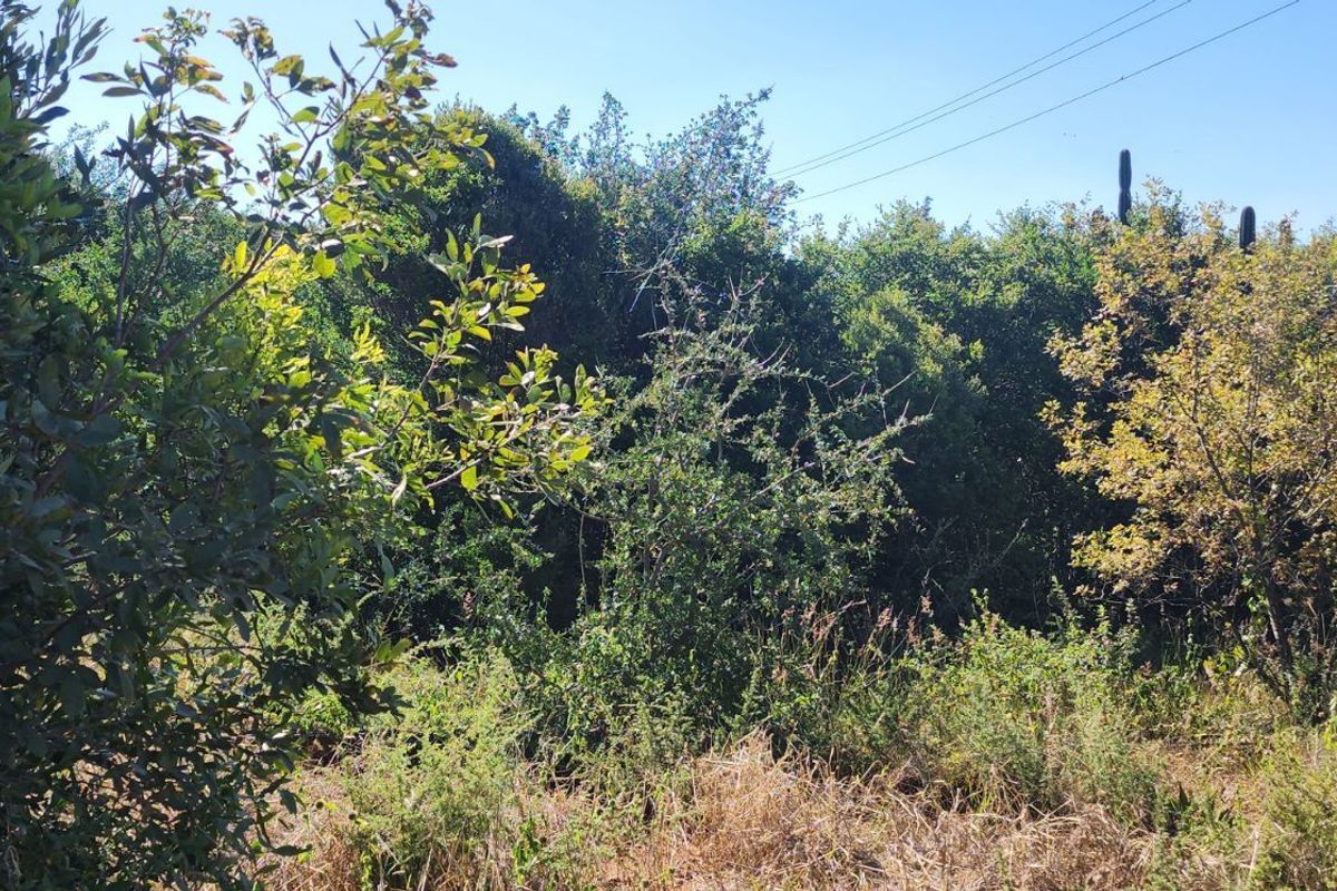 Vacant Land Residential For Sale in Vaal Marina Central - Photo 3