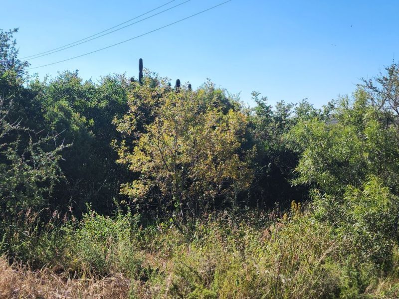 Vacant Land Residential For Sale in Vaal Marina Central - Photo 2