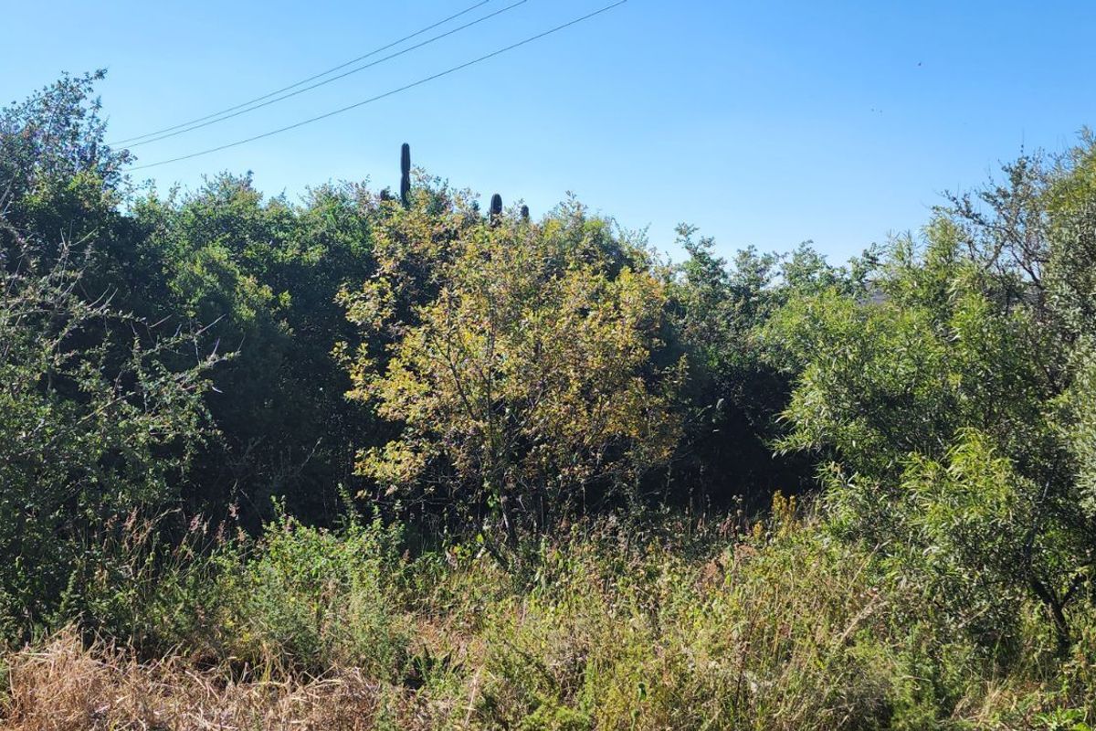 Vacant Land Residential For Sale in Vaal Marina Central - Photo 2