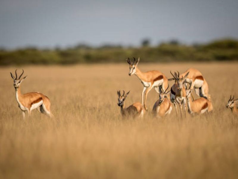 Vacant Land Residential For Sale in Vaal Marina Central - Photo 5