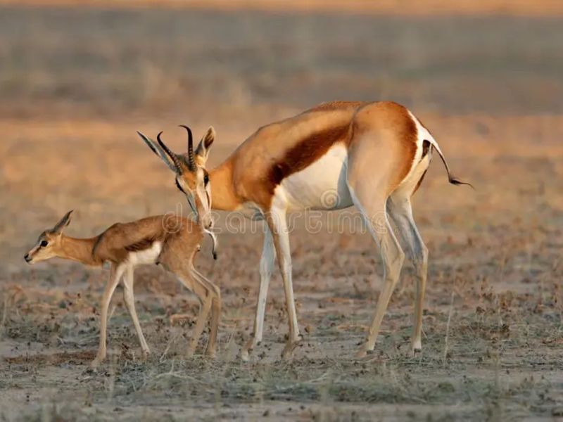 House For Sale in Vaal Marina Central - Photo 4