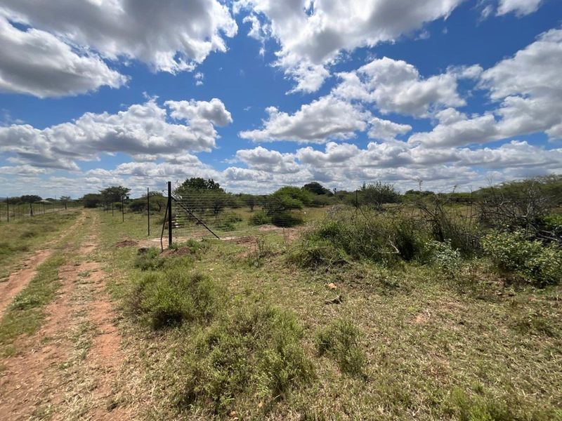 Farm For Sale in Tweefontein AH - Photo 5