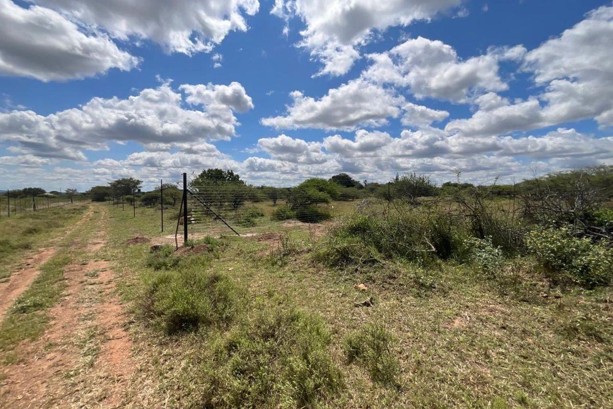 Farm For Sale in Tweefontein AH - Photo 5