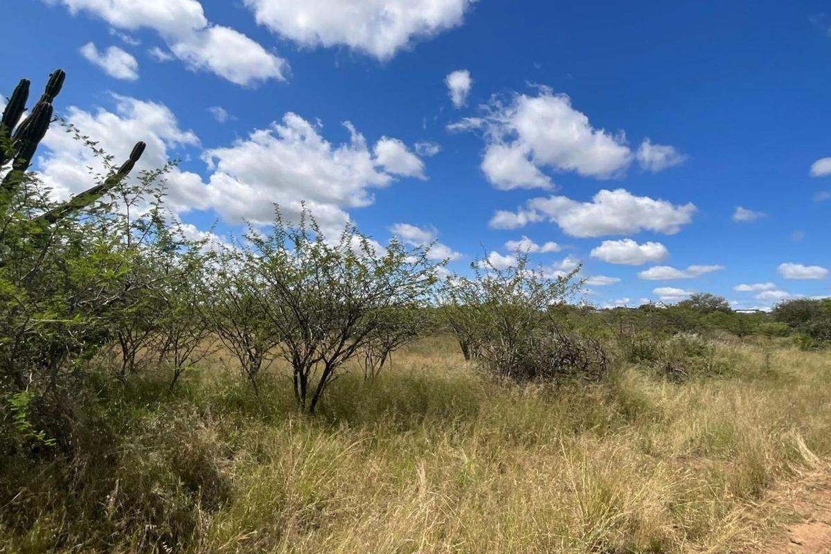 Farm For Sale in Tweefontein AH - Photo 4