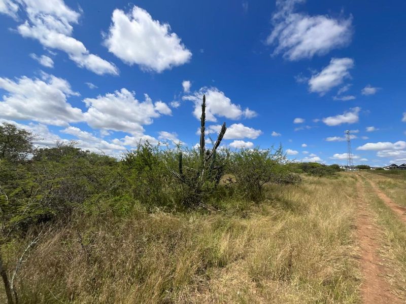 Farm For Sale in Tweefontein AH - Photo 6