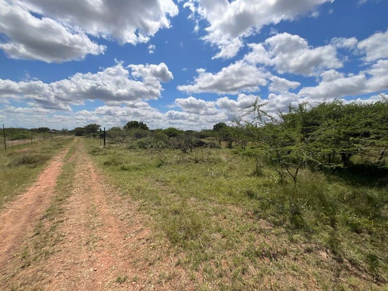 Farm For Sale in Tweefontein AH - Photo 6