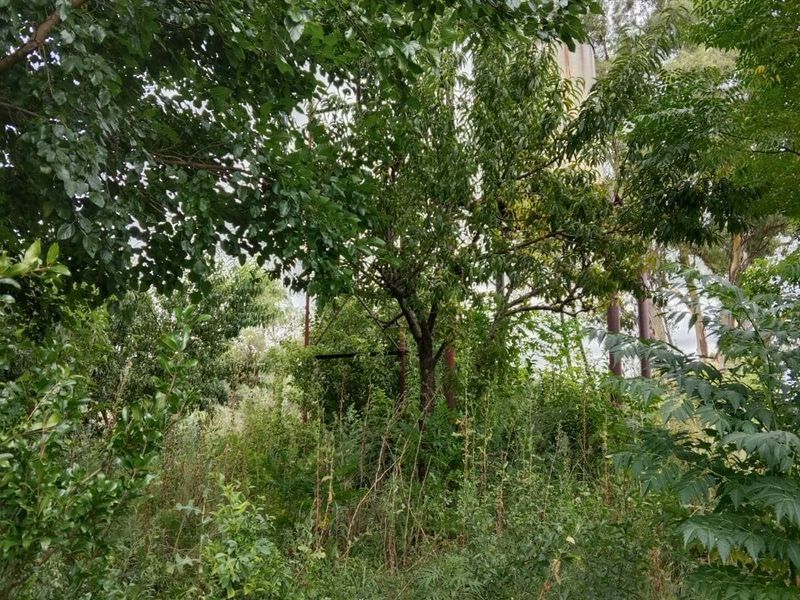 Farm For Sale in Vaal Power AH - Photo 8