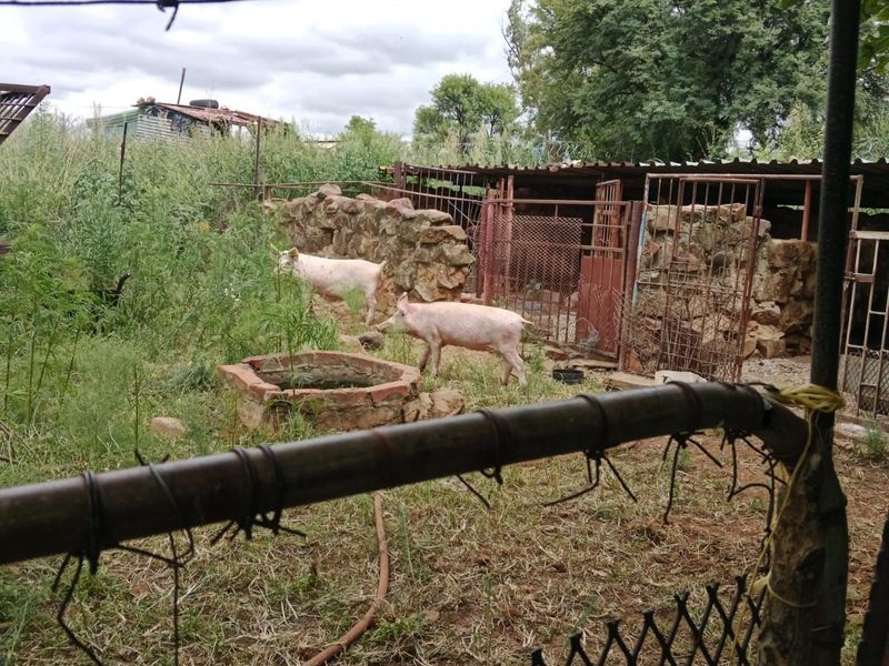 Farm For Sale in Vaal Power AH - Photo 5