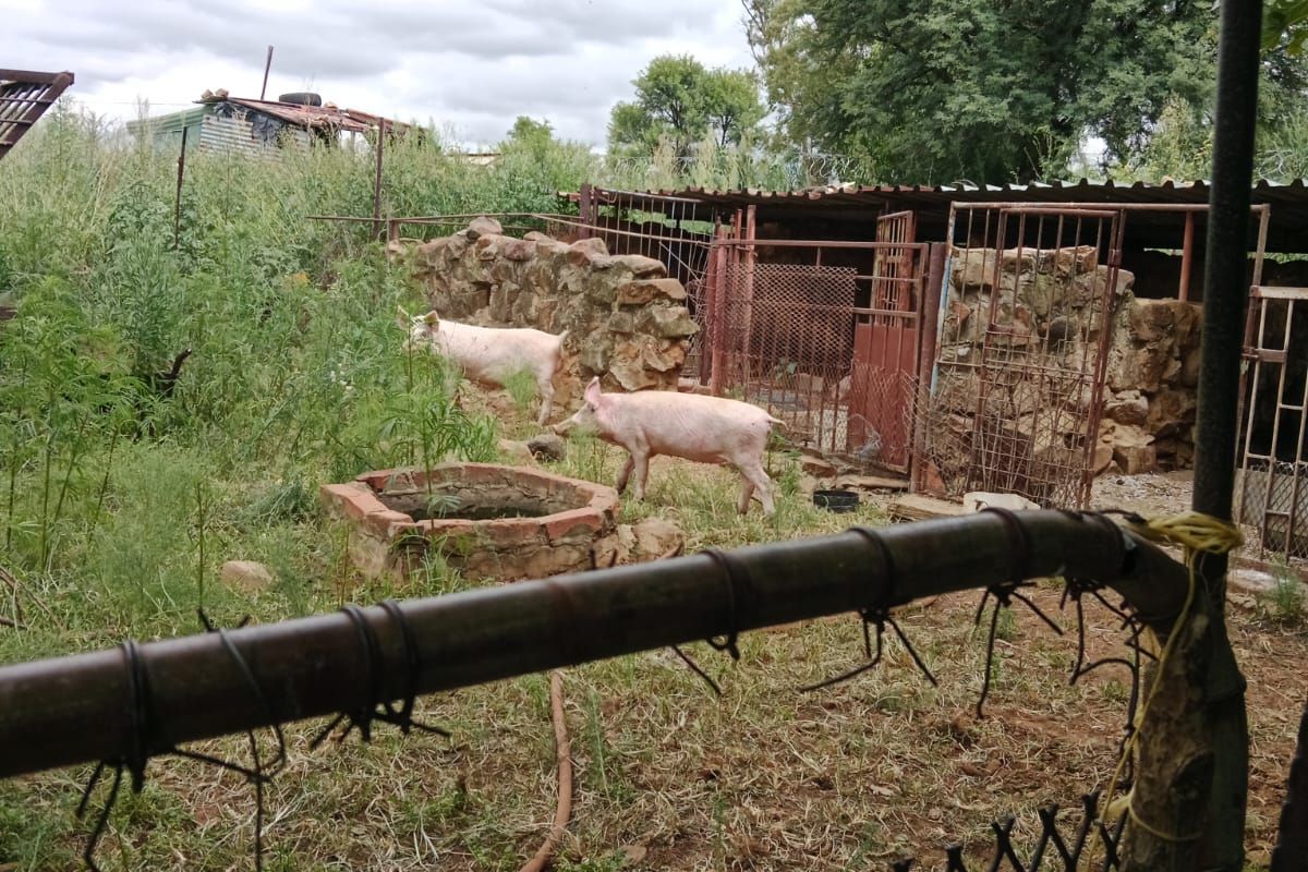 Farm For Sale in Vaal Power AH - Photo 5