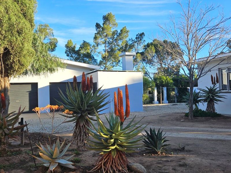 House For Sale in Steytlerville Central - Photo 8