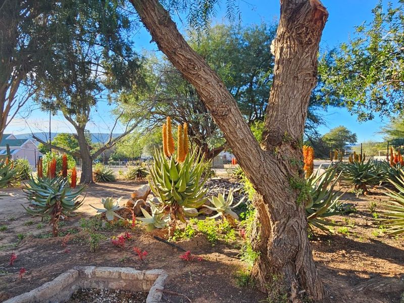 House For Sale in Steytlerville Central - Photo 6