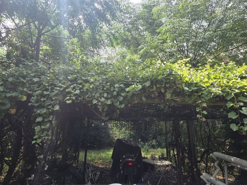 House For Sale in Vaal Marina Central - Photo 5