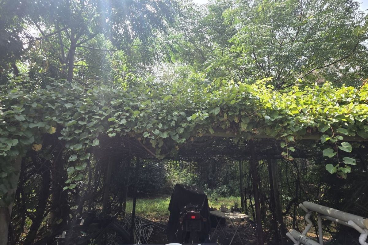 House For Sale in Vaal Marina Central - Photo 5