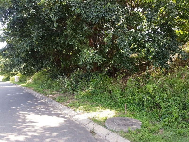 Vacant Land Residential For Sale in New Salt Rock City - Photo 3