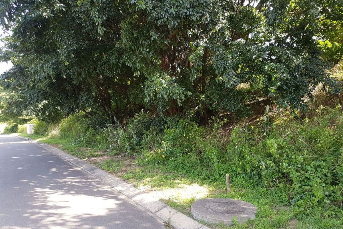 Vacant Land Residential For Sale in New Salt Rock City - Photo 3