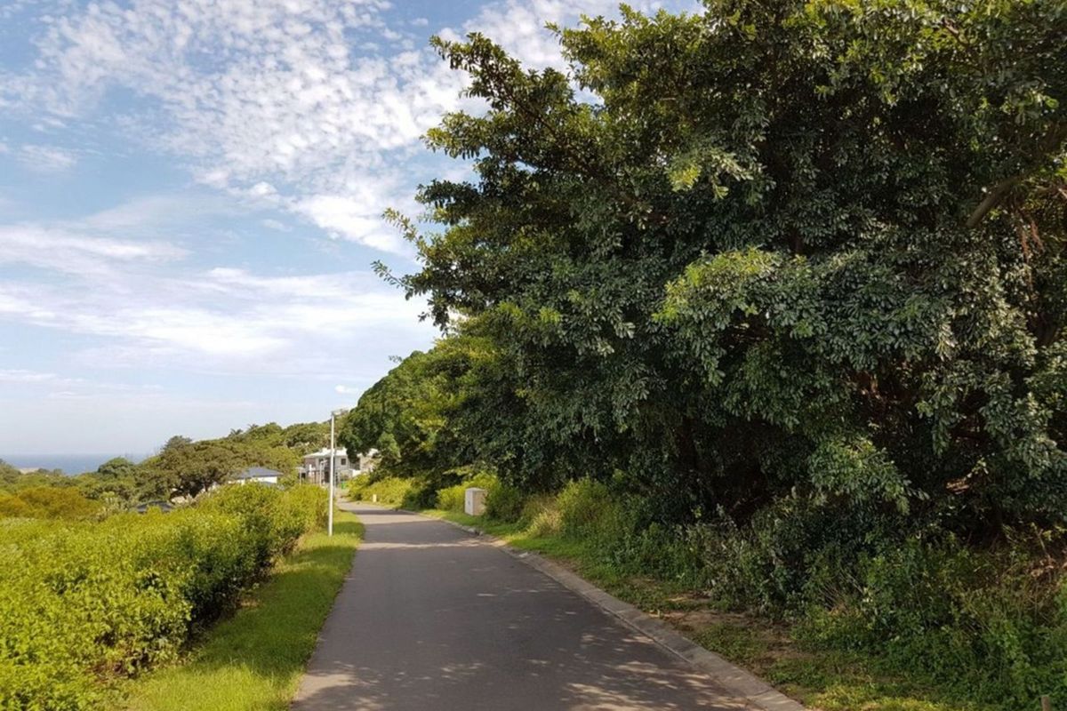 Vacant Land Residential For Sale in New Salt Rock City - Photo 5