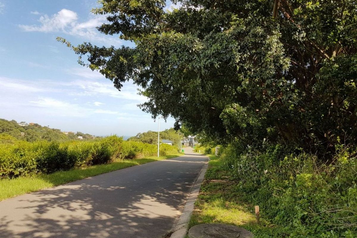 Vacant Land Residential For Sale in New Salt Rock City - Photo 4