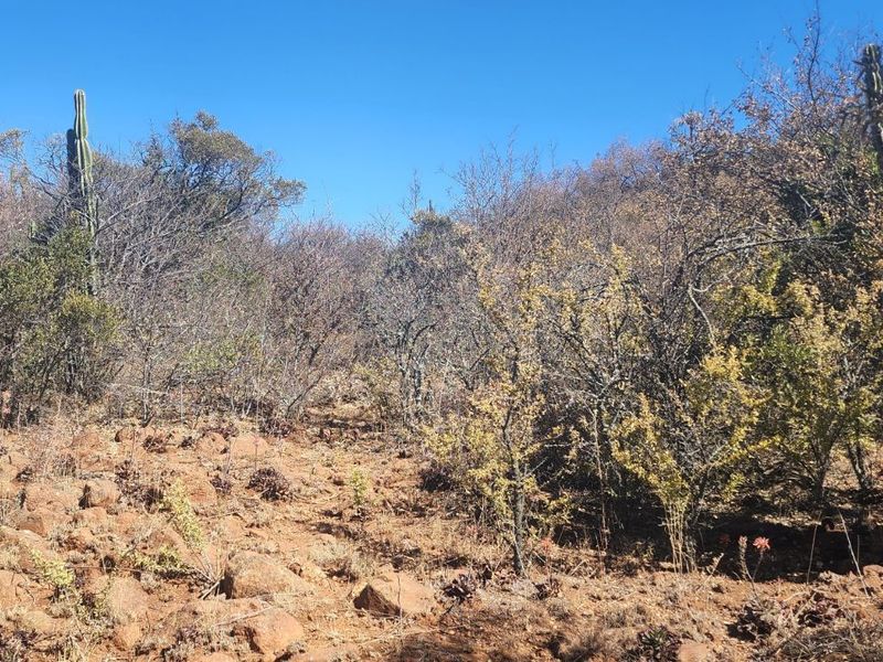 Vacant Land Residential For Sale in Vaal Marina Central - Photo 5