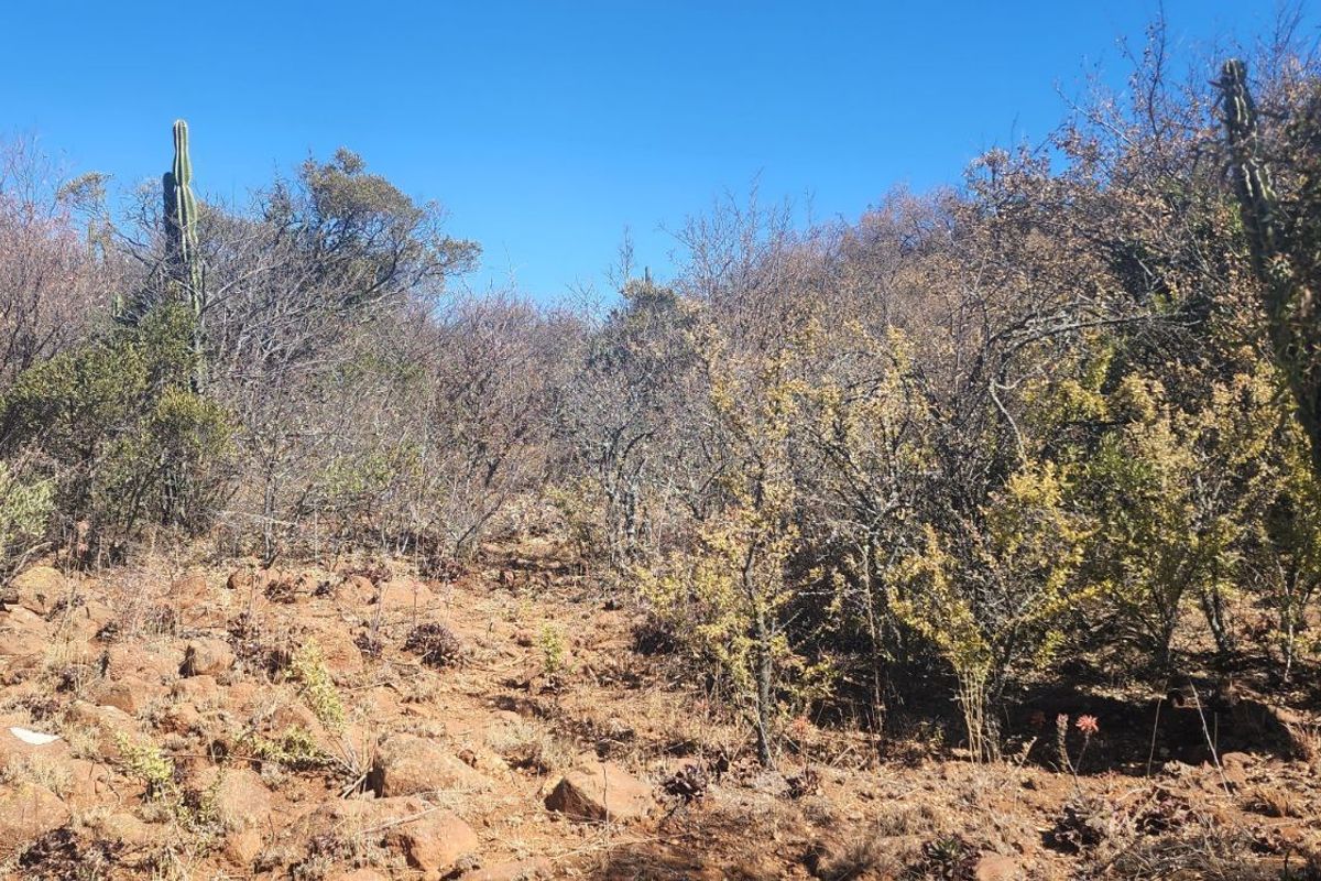 Vacant Land Residential For Sale in Vaal Marina Central - Photo 5