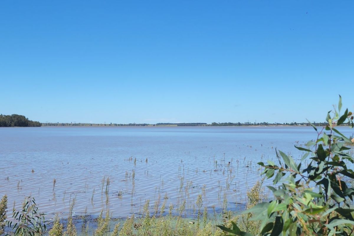 Vacant Land Residential For Sale in Vaal Marina Central - Photo 2