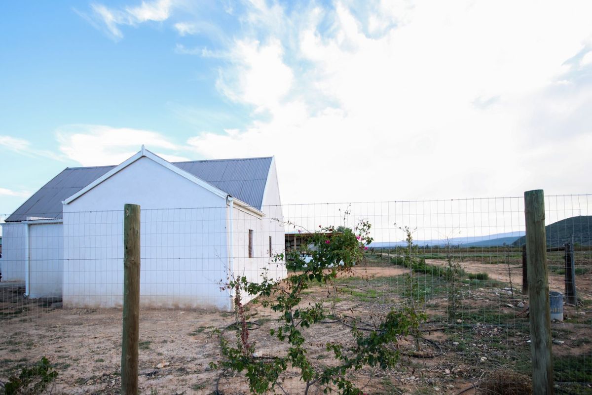 Farm For Sale in Calitzdorp Rural - Photo 3