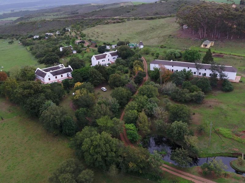 Farm For Sale in Riversdale Rural - Photo 4
