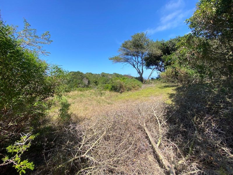 Vacant Land Residential For Sale in Clarendon Marine - Photo 5