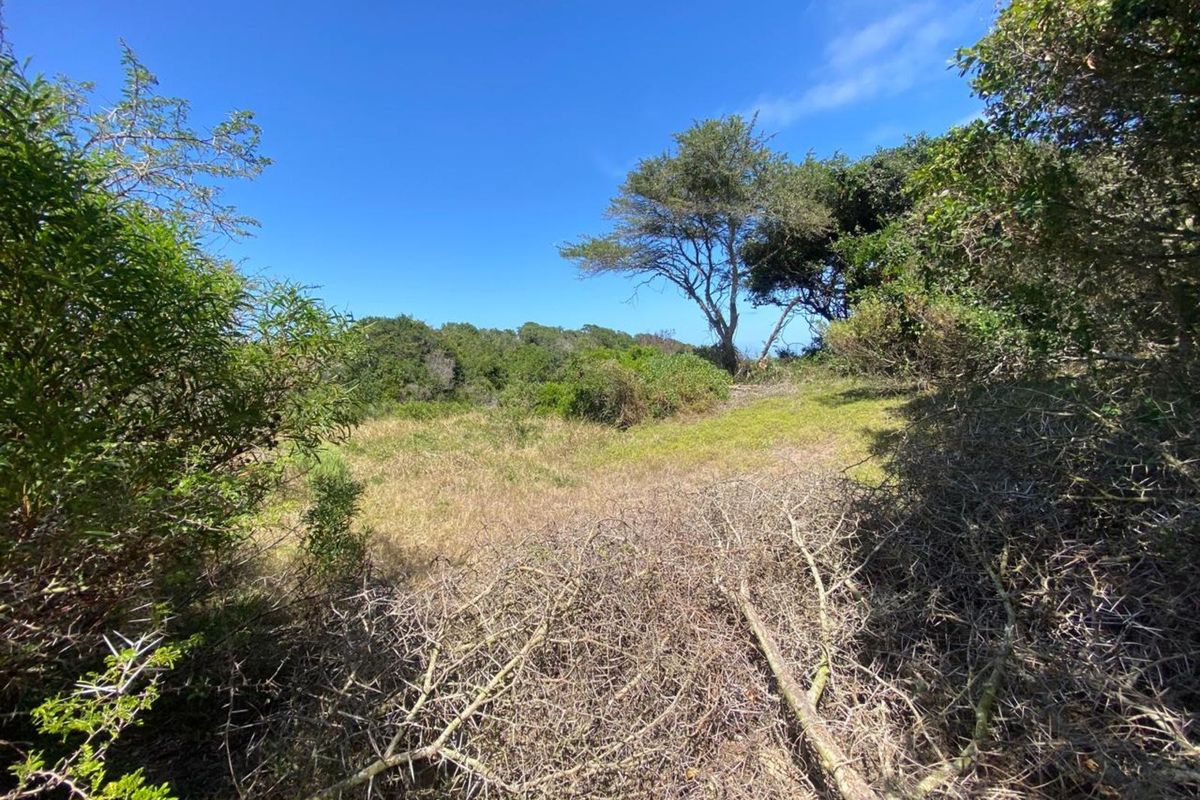 Vacant Land Residential For Sale in Clarendon Marine - Photo 5