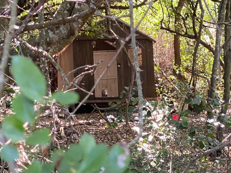 Vacant Land Residential For Sale in Clarendon Marine - Photo 6