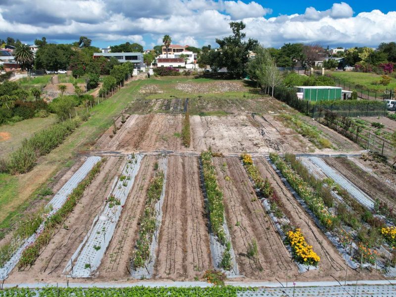 Farm For Sale in Jamestown - Photo 9