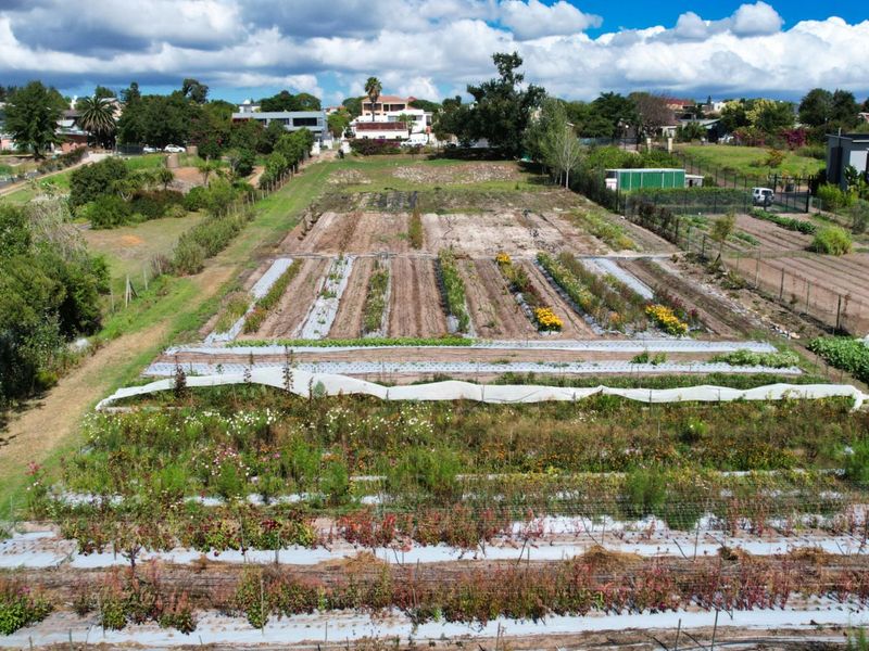 Farm For Sale in Jamestown - Photo 8