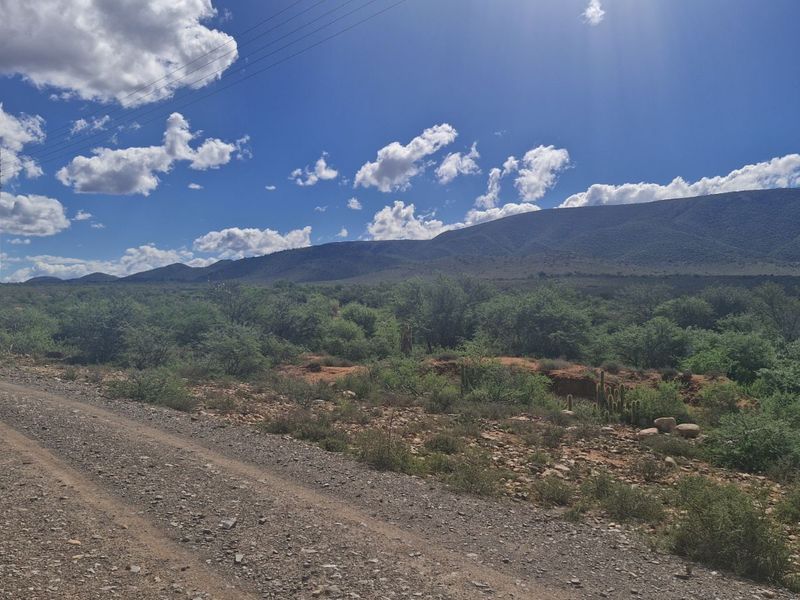 Vacant Land Residential For Sale in Steytlerville Central - Photo 4