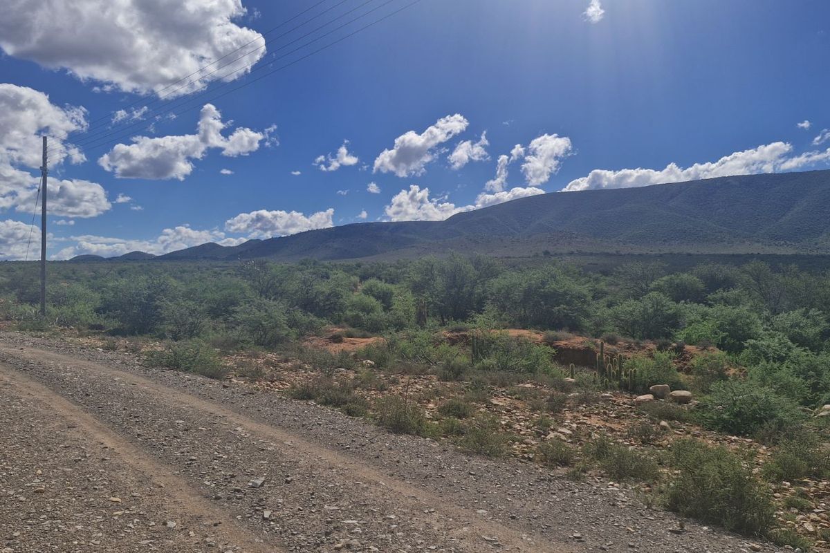 Vacant Land Residential For Sale in Steytlerville Central - Photo 4