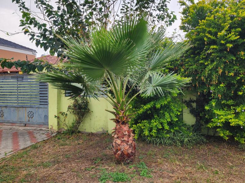 House For Sale in Riverside View - Photo 5