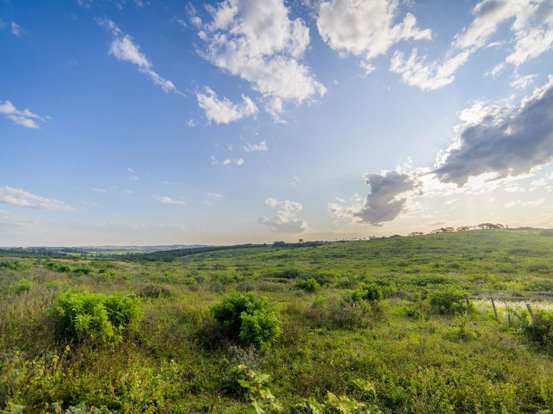 Vacant Land Residential For Sale in Sheffield Manor - Photo 4