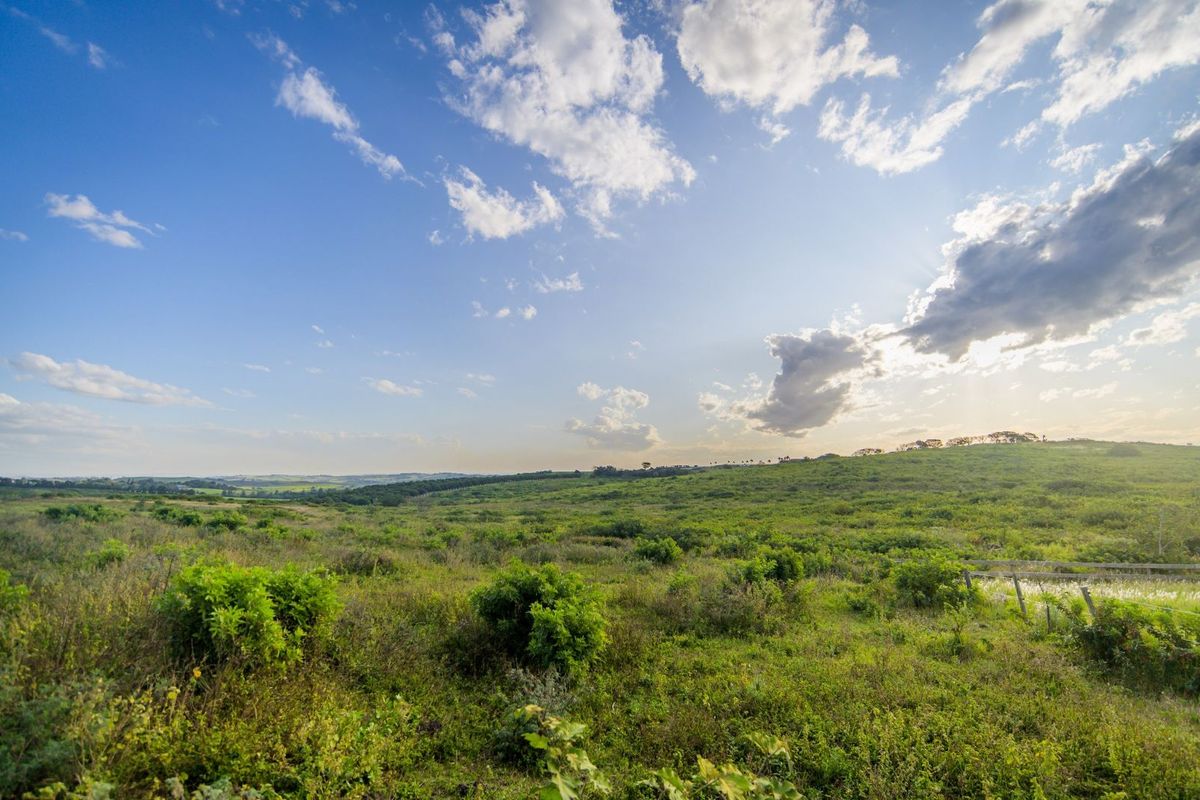 Vacant Land Residential For Sale in Sheffield Manor - Photo 4