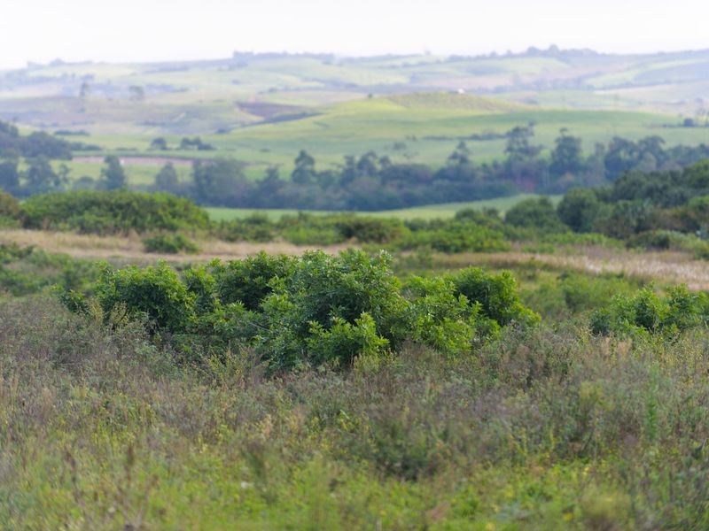 Vacant Land Residential For Sale in Sheffield Manor - Photo 6