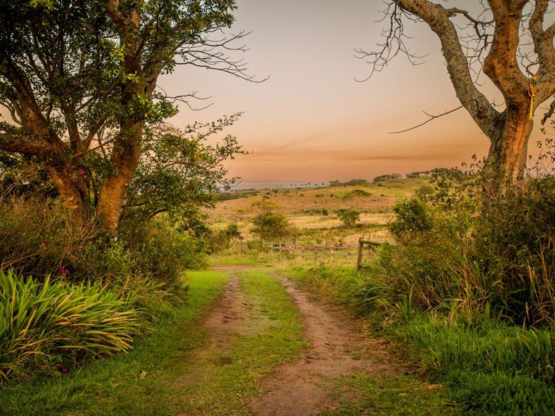 Vacant Land Residential For Sale in Sheffield Manor - Photo 8