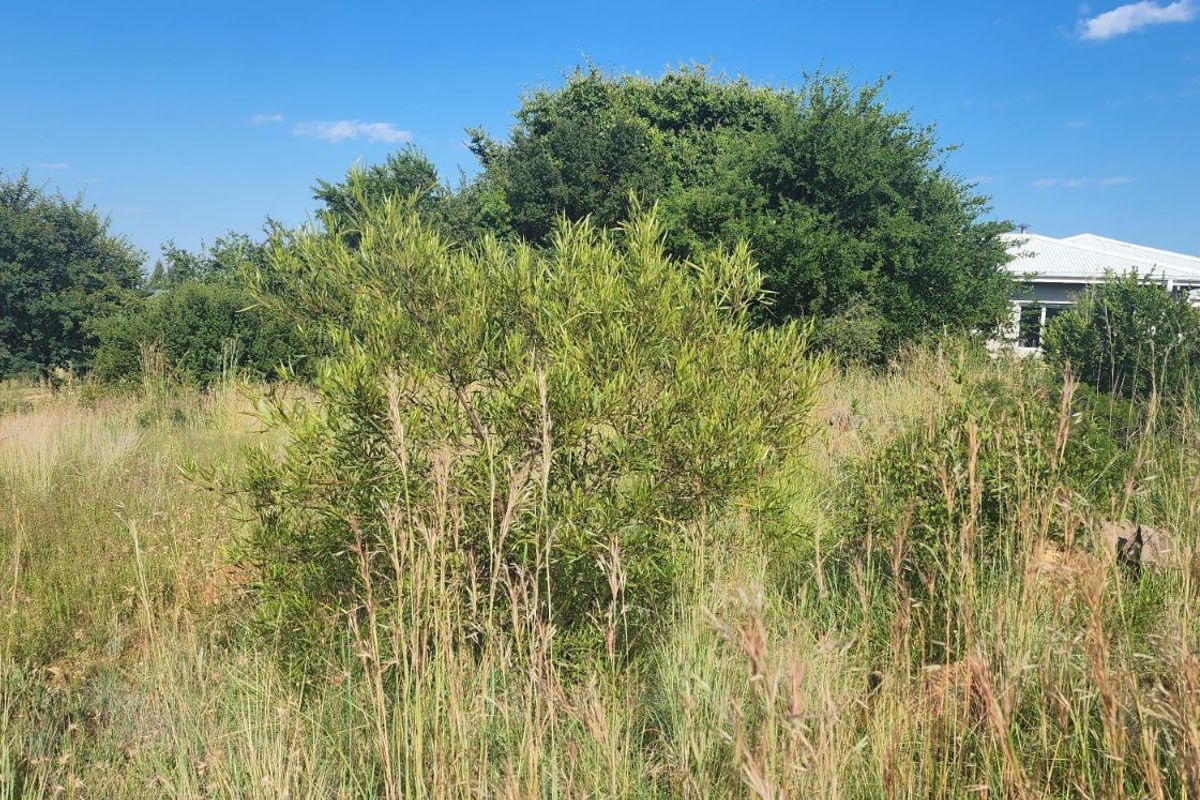 Vacant Land Residential For Sale in Vaal Marina Central - Photo 5