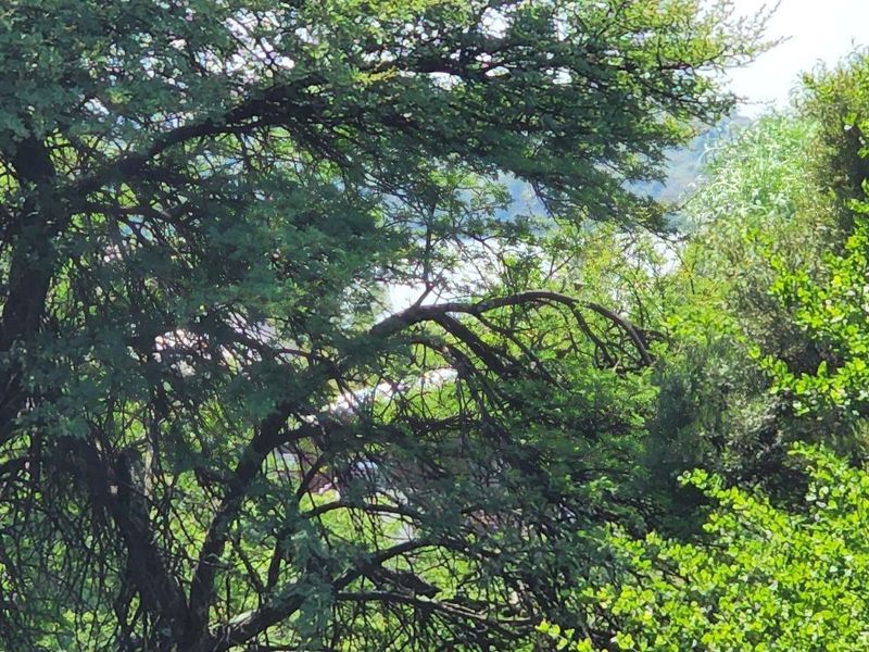 House For Sale in Vaal Marina Central - Photo 4