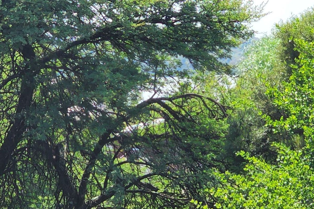 House For Sale in Vaal Marina Central - Photo 4