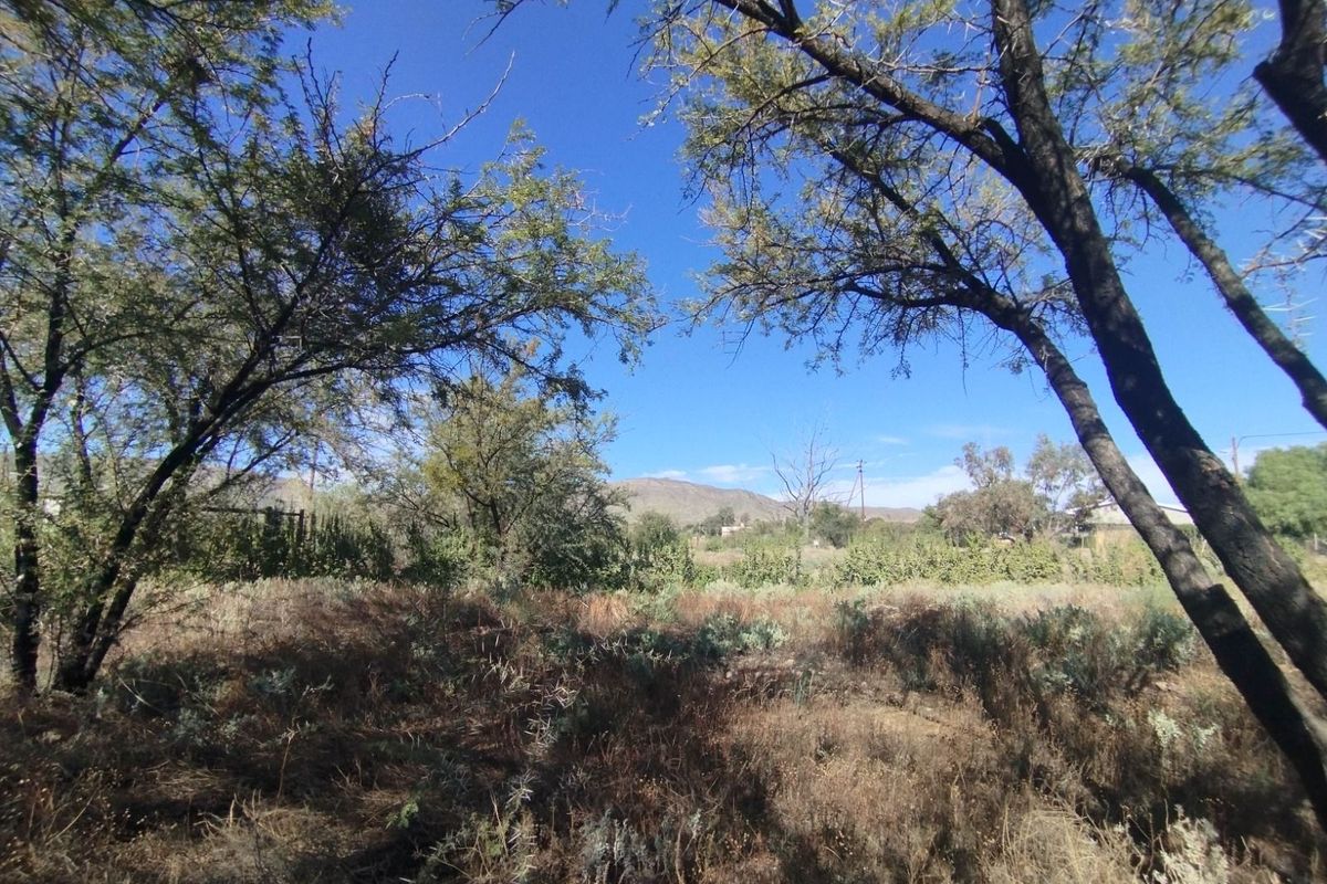 Vacant Land Residential For Sale in Prince Albert Central - Photo 5