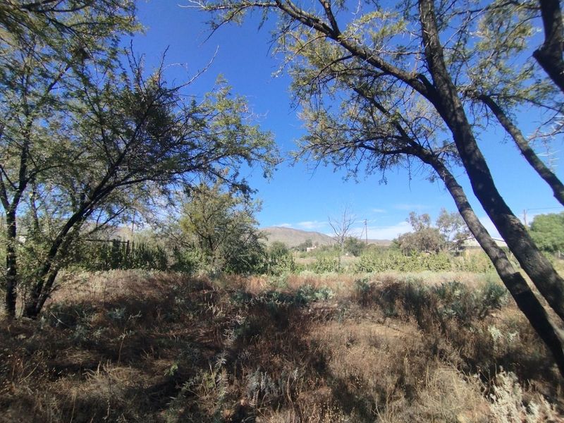 Vacant Land Residential For Sale in Prince Albert Central - Photo 5