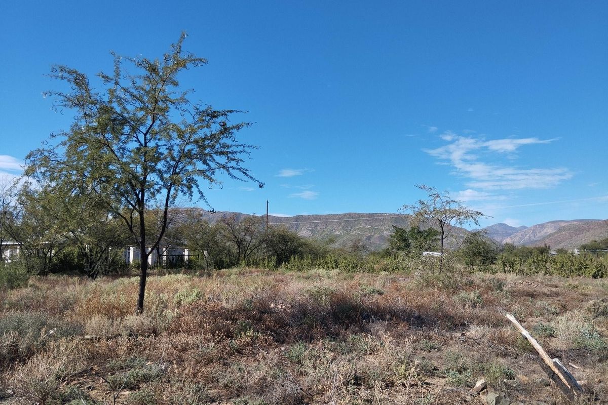 Vacant Land Residential For Sale in Prince Albert Central - Photo 4