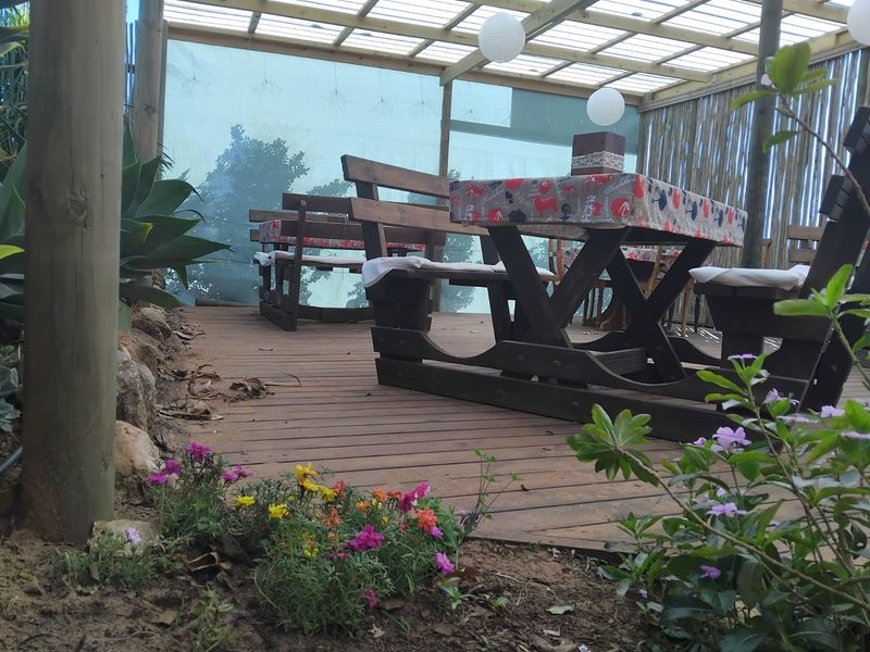 Guest House For Sale in Albertinia Central - Photo 9