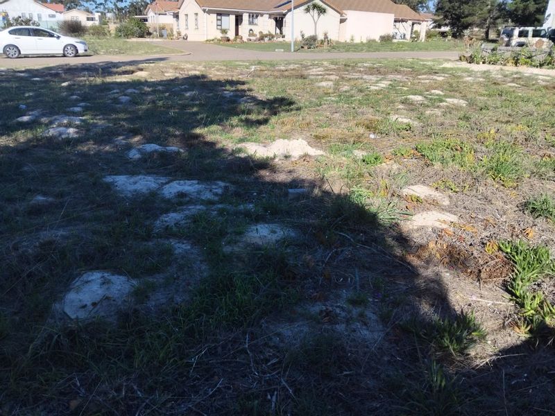 Vacant Land Residential For Sale in Albertinia Central - Photo 5