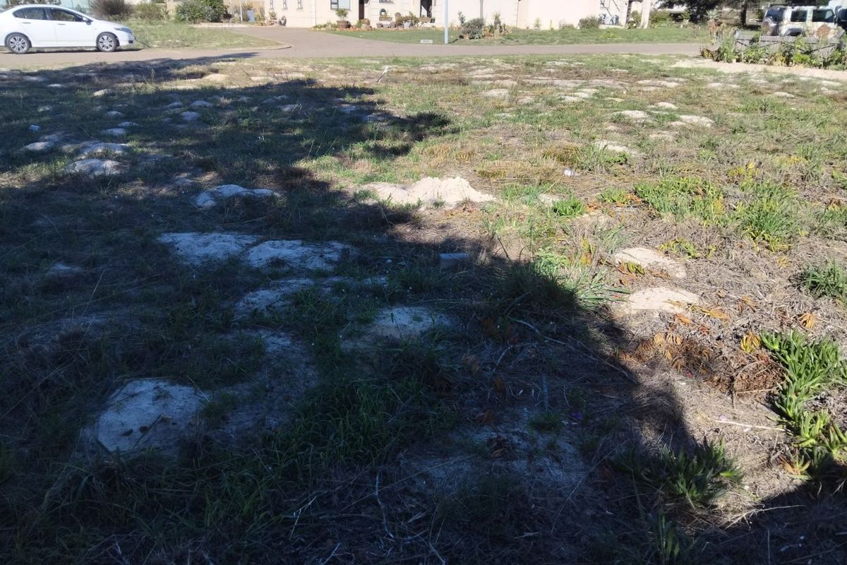 Vacant Land Residential For Sale in Albertinia Central - Photo 5