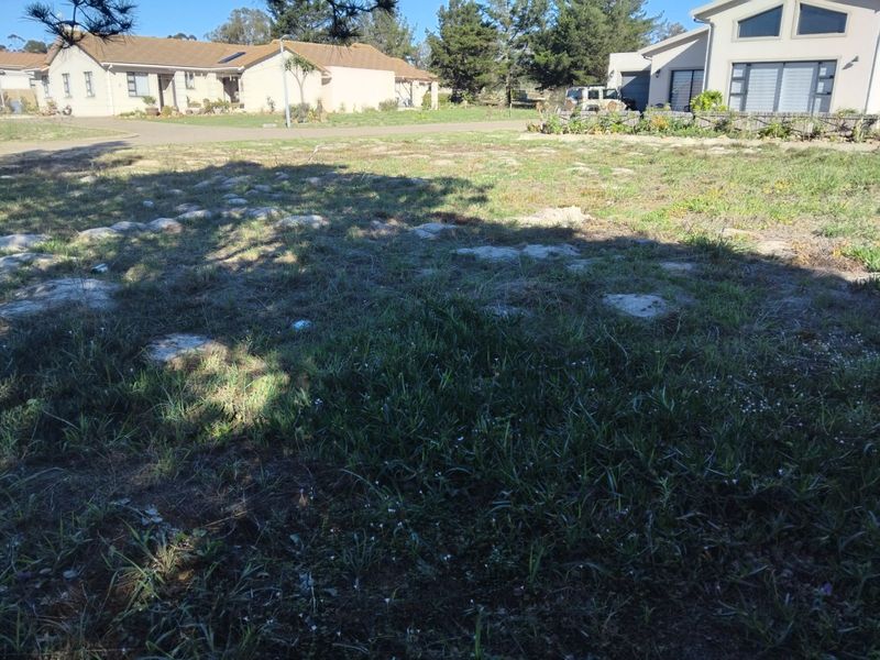 Vacant Land Residential For Sale in Albertinia Central - Photo 4